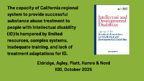 IDD Journal Article