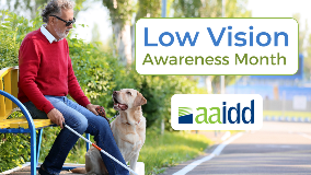 Low Vision Awareness